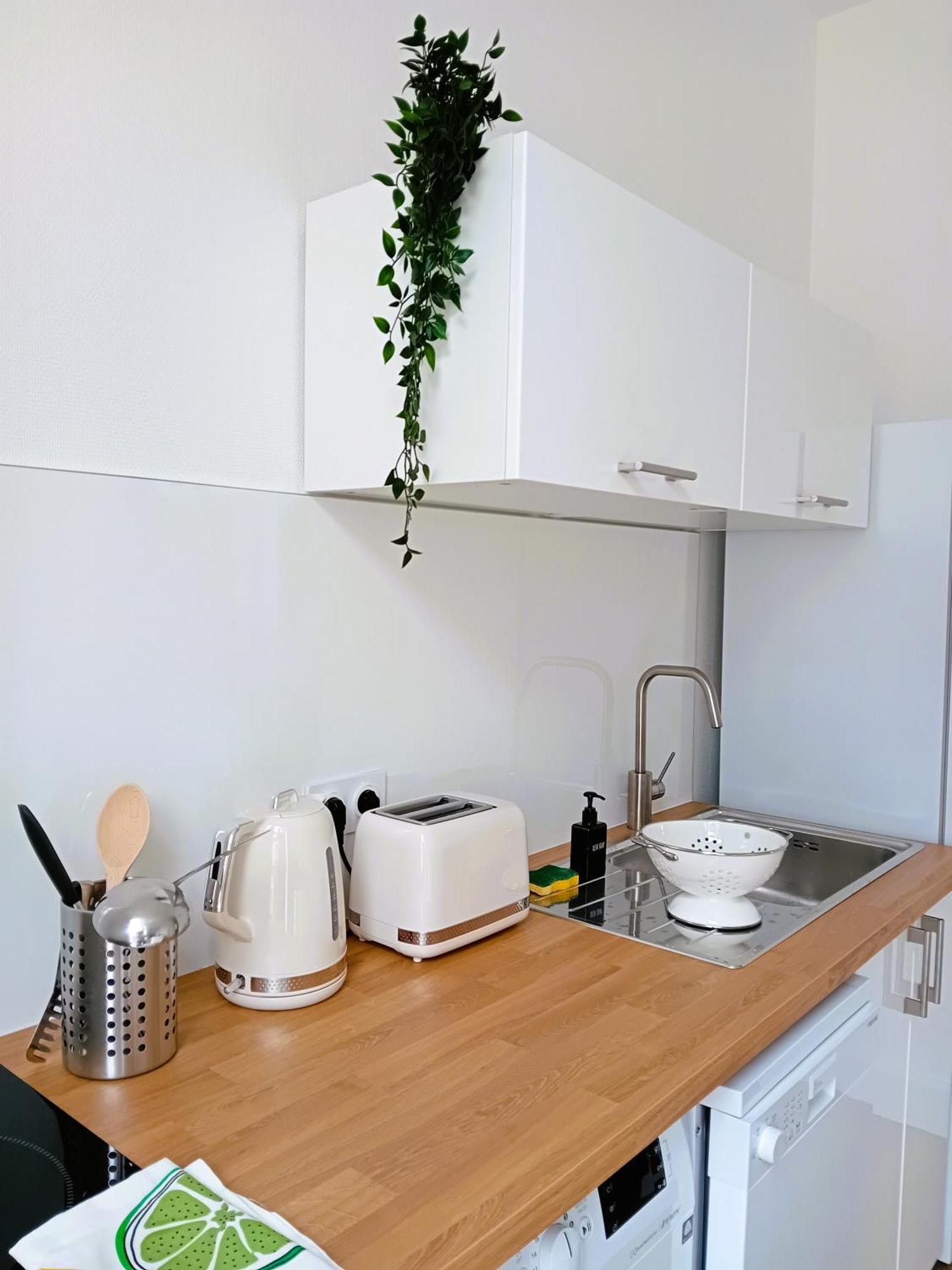 102 - Appart Renove Avec Grand Salon Et 1 Chambre - Tram Et Clinique Mutualiste A 1 Min 그르노블 외부 사진
