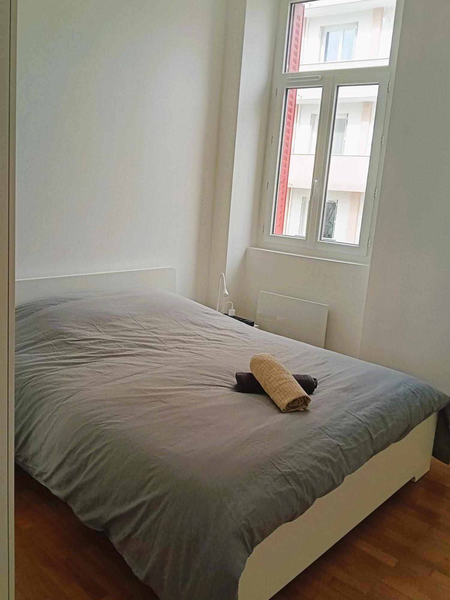 102 - Appart Renove Avec Grand Salon Et 1 Chambre - Tram Et Clinique Mutualiste A 1 Min 그르노블 외부 사진